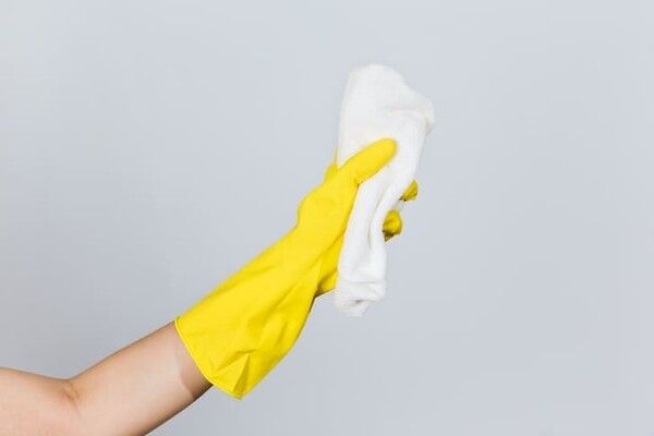 ⓒ게티이미지뱅크(행주)