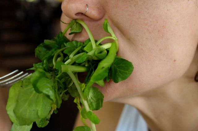 ⓒ게티이미지뱅크(채소 먹는 사람)