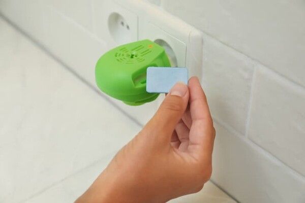 ⓒ게티이미지뱅크(모기향)