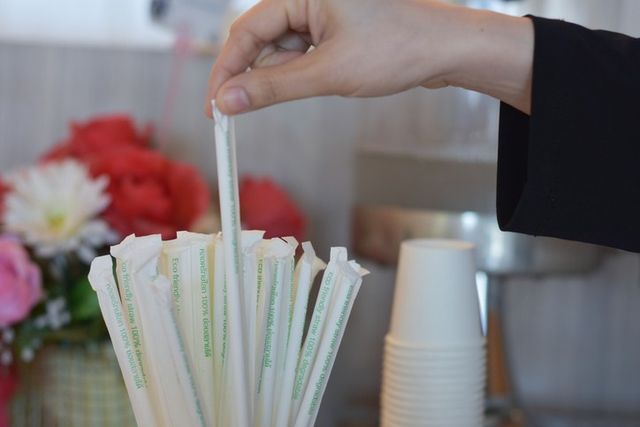 ⓒ게티이미지뱅크(종이빨대)