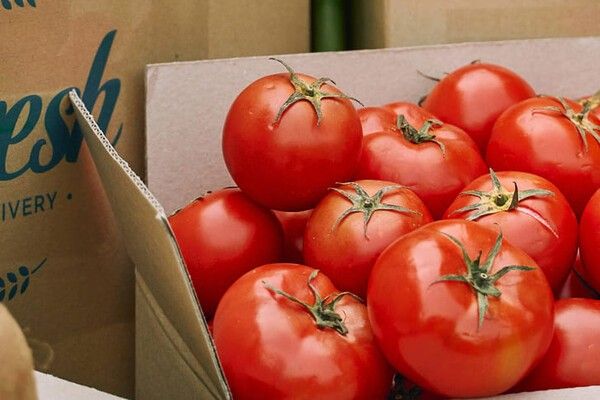 ⓒ게티이미지뱅크(토마토)