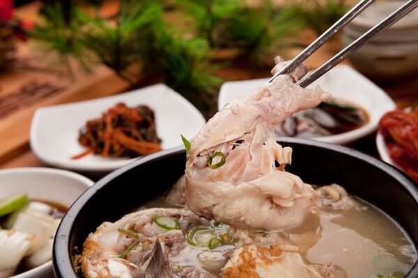 ⓒ게티이미지뱅크(삼계탕)