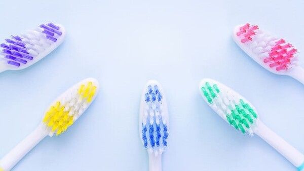 ⓒ게티이미지뱅크(칫솔)