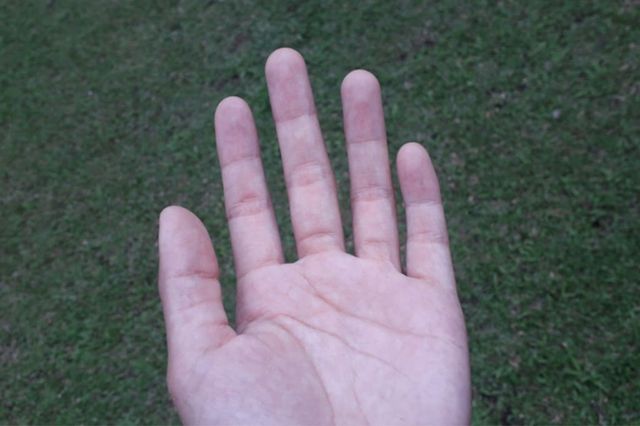 ⓒ게티이미지뱅크(사람 손)