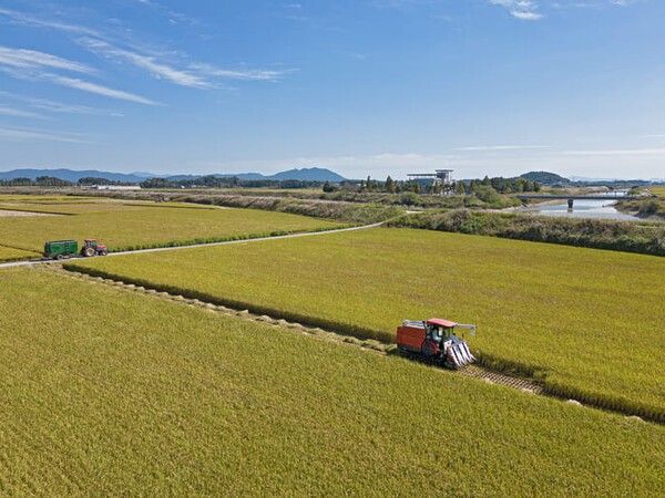 ⓒ게티이미지뱅크(농어촌)