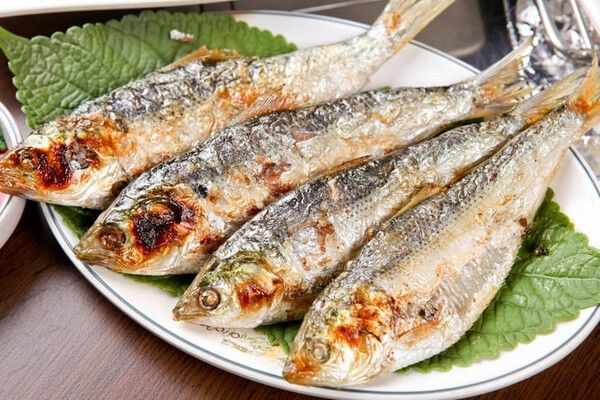 ⓒ게티이미지뱅크(전어)