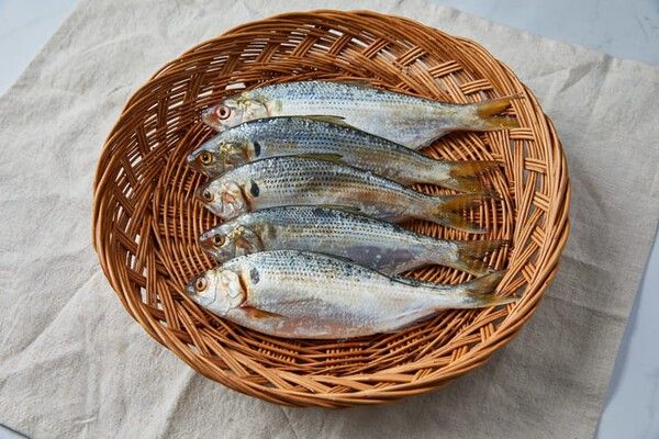 ⓒ게티이미지뱅크(전어)