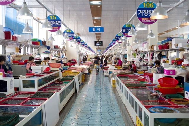 ⓒ게티이미지뱅크(어시장)