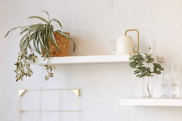 ⓒ게티이미지뱅크(주방 화분)