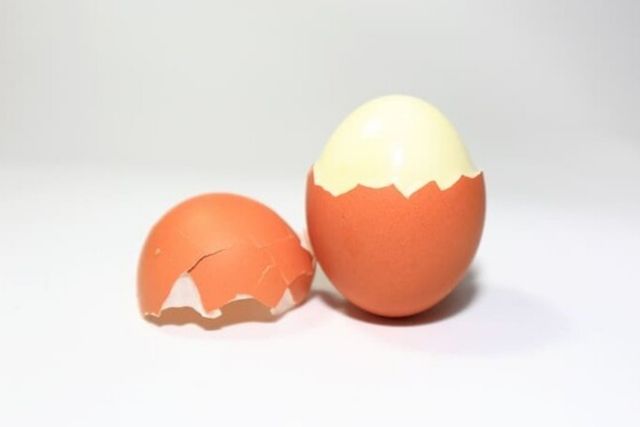 ⓒ게티이미지뱅크(삶은달걀)