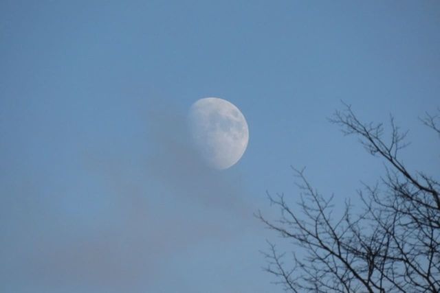 ⓒ게티이미지뱅크(달)