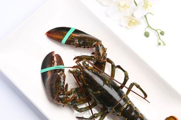 ⓒ게티이미지뱅크(미국가재)