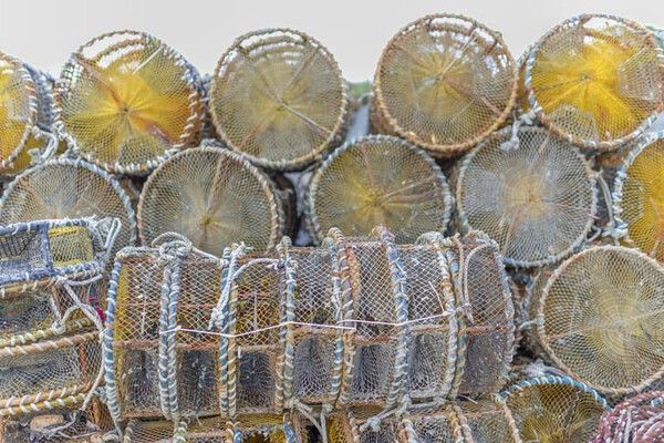 ⓒ게티이미지뱅크(통발)