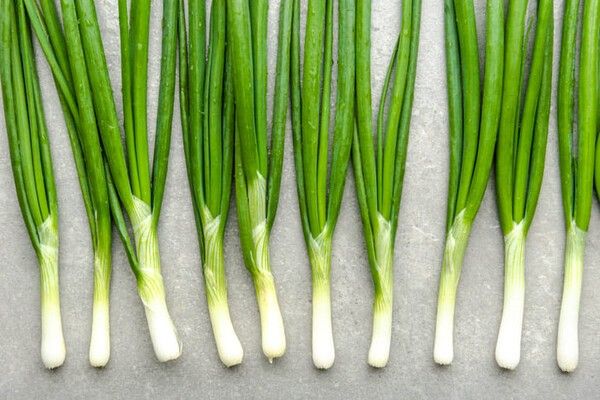 ⓒ게티이미지뱅크(대파)