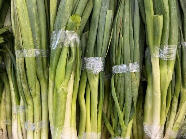 ⓒ게티이미지뱅크(대파)