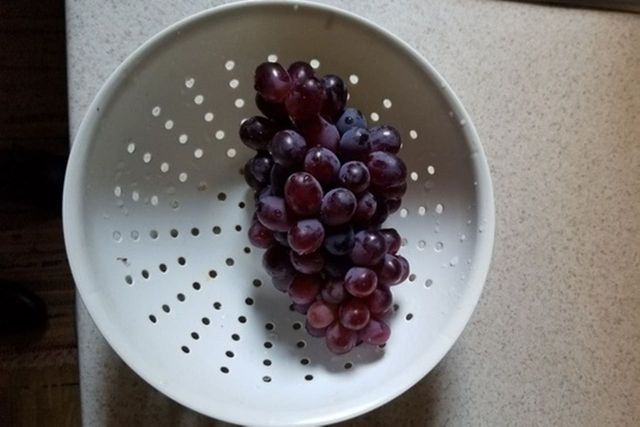 ⓒ게티이미지뱅크(포도)