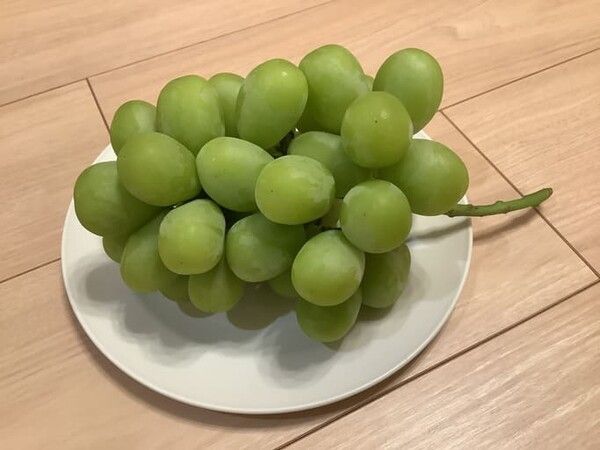 ⓒ게티이미지뱅크(포도)