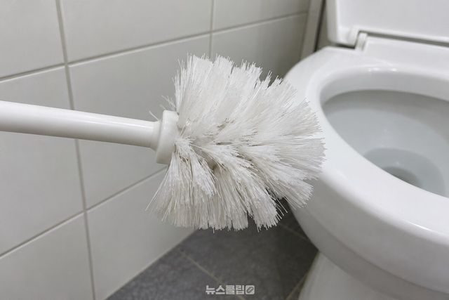 솔 끝이 바깥으로 벌어져 둥근 모양이 흐트러진 나일론 변기솔을 옆에서 본 모습. / 기사 이해를 돕기 위한 생성형 이미지
