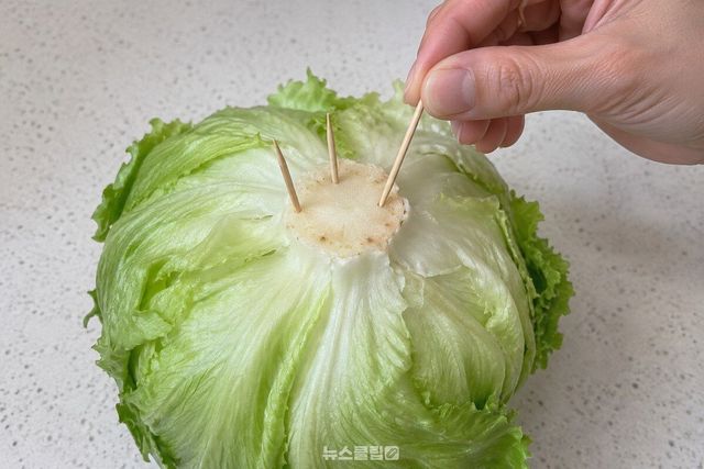 먹기 전 양상추 심에서 이쑤시개를 하나씩 빼는 모습이다. / 기사 이해를 돕기 위한 생성형 이미지