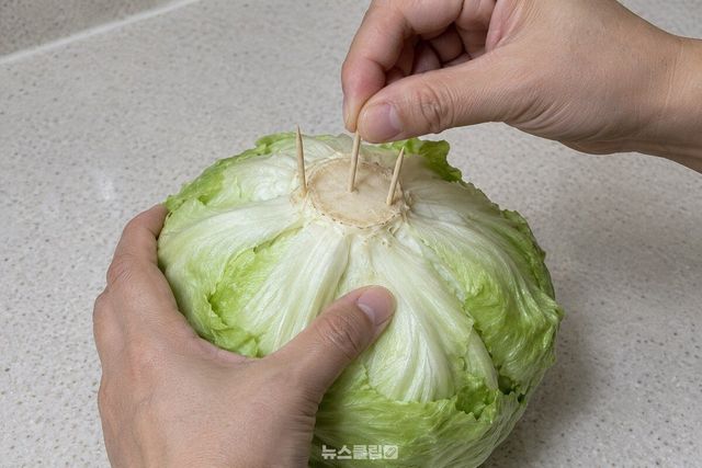 양상추 심 한가운데와 양옆에 이쑤시개를 깊이 꽂는 손동작이다. / 기사 이해를 돕기 위한 생성형 이미지