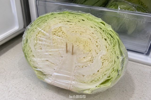 반으로 자른 양배추의 심에 이쑤시개를 꽂고 자른 면을 랩으로 감싼 모습이다. / 기사 이해를 돕기 위한 생성형 이미지