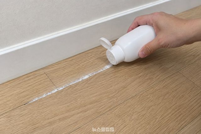 베이비파우더 통을 마루 가까이에 대고 이음새 30cm 구간에 가늘게 뿌리는 모습. / 기사 이해를 돕기 위한 생성형 이미지