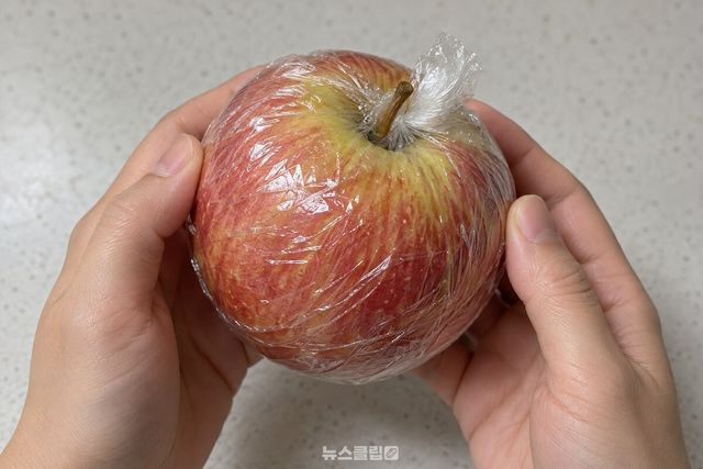 식품용 랩을 사과 꼭지 쪽에서 비틀어 밀착시킨 모습 / 기사 이해를 돕기 위한 생성형 이미지