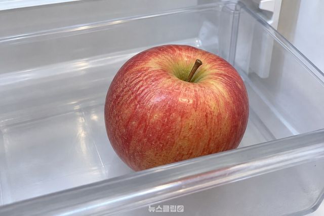 채소칸에 그냥 두어 껍질 한 부분이 살짝 쭈글해진 사과 / 기사 이해를 돕기 위한 생성형 이미지