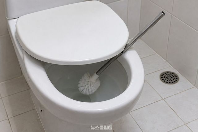 변기 앞쪽 테두리의 시트와 내린 뚜껑 사이에 곧은 솔대를 비스듬히 끼워 솔모를 변기 안 물 위에 띄워 둔 모습. / 기사 이해를 돕기 위한 생성형 이미지