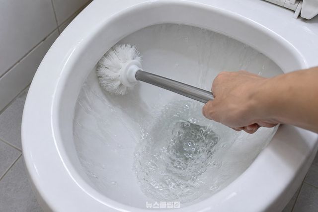 물을 내리며 변기 안쪽 벽에 솔모를 대고 헹구는 모습. / 기사 이해를 돕기 위한 생성형 이미지
