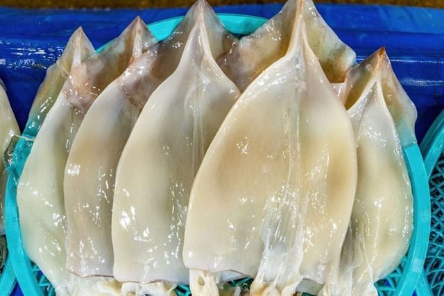 ⓒ게티이미지뱅크(오징어)