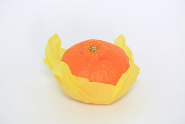 ⓒ게티이미지뱅크(레드향)