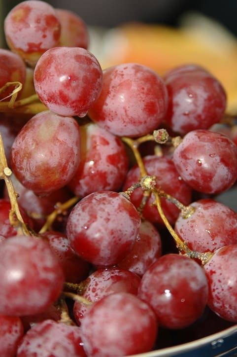 ⓒ게티이미지뱅크(글로리스타)