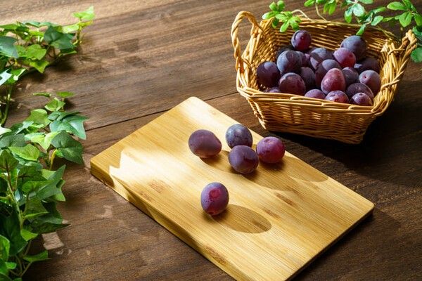 ⓒ게티이미지뱅크(글로리스타)