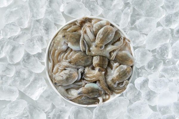 ⓒ게티이미지뱅크(주꾸미)