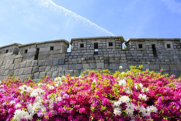 ⓒ게티이미지뱅크(한양도성)