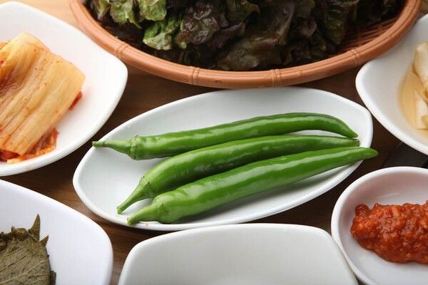 ⓒ게티이미지뱅크(풋고추)