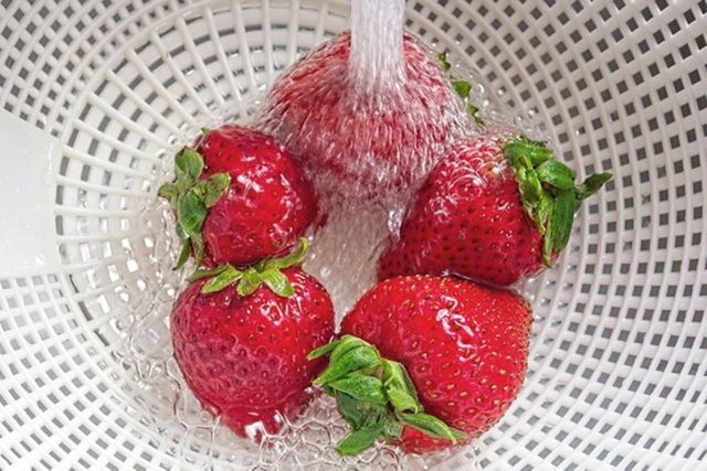 ⓒ게티이미지뱅크(딸기)