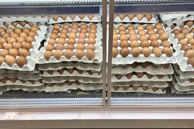 ⓒ게티이미지뱅크(계란)