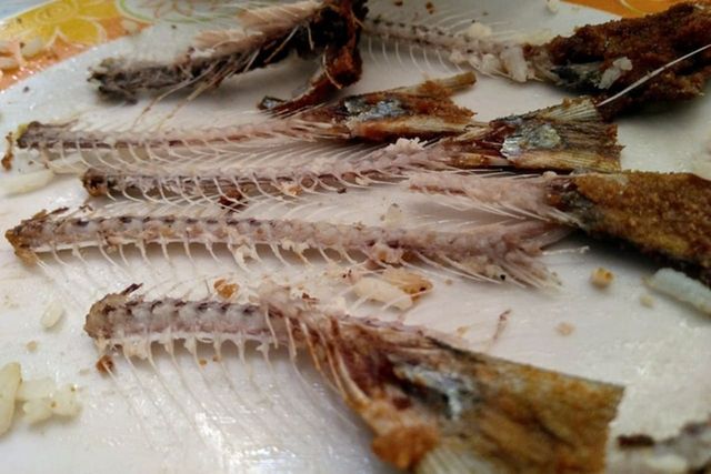 ⓒ게티이미지뱅크(생선 가시)