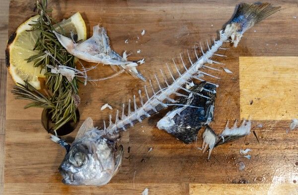 ⓒ게티이미지뱅크(생선 가시)