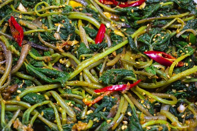 ⓒ게티이미지뱅크(머위)