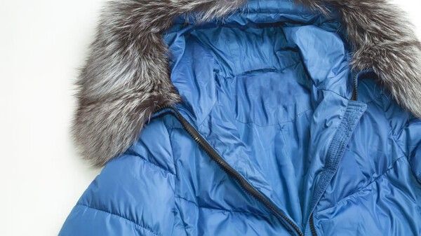 ⓒ게티이미지뱅크(패딩)