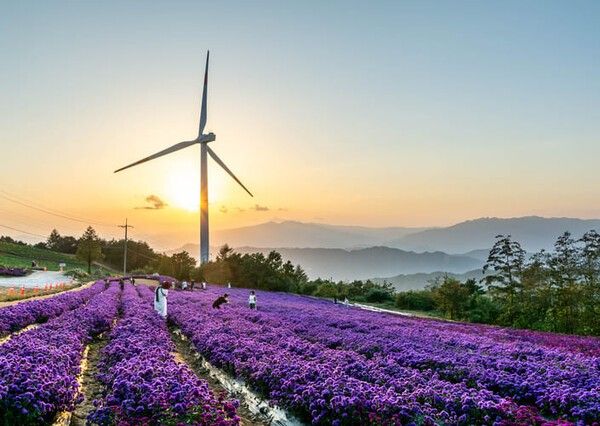 ⓒ게티이미지뱅크(거창군)