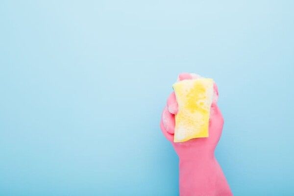 ⓒ게티이미지뱅크(수세미)