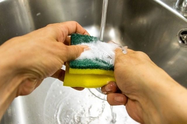 ⓒ게티이미지뱅크(수세미)