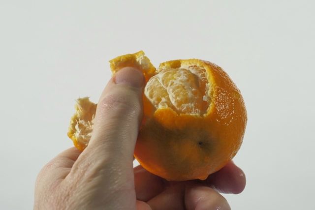 ⓒ게티이미지뱅크(귤)