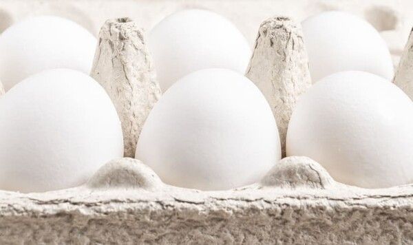 ⓒ게티이미지뱅크(달걀)