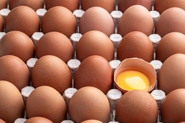 ⓒ게티이미지뱅크(달걀)