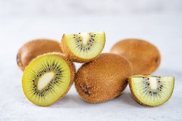 ⓒ게티이미지뱅크(키위)